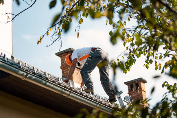 Best Roofing Contractor Near Me  in Carbondale, KS