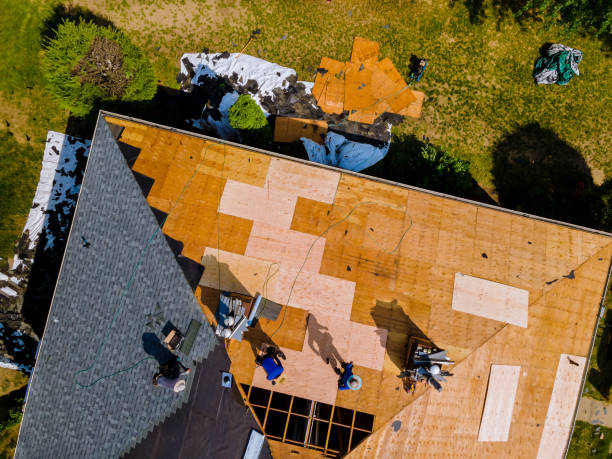 Best Flat Roof Repair Services  in Carbondale, KS